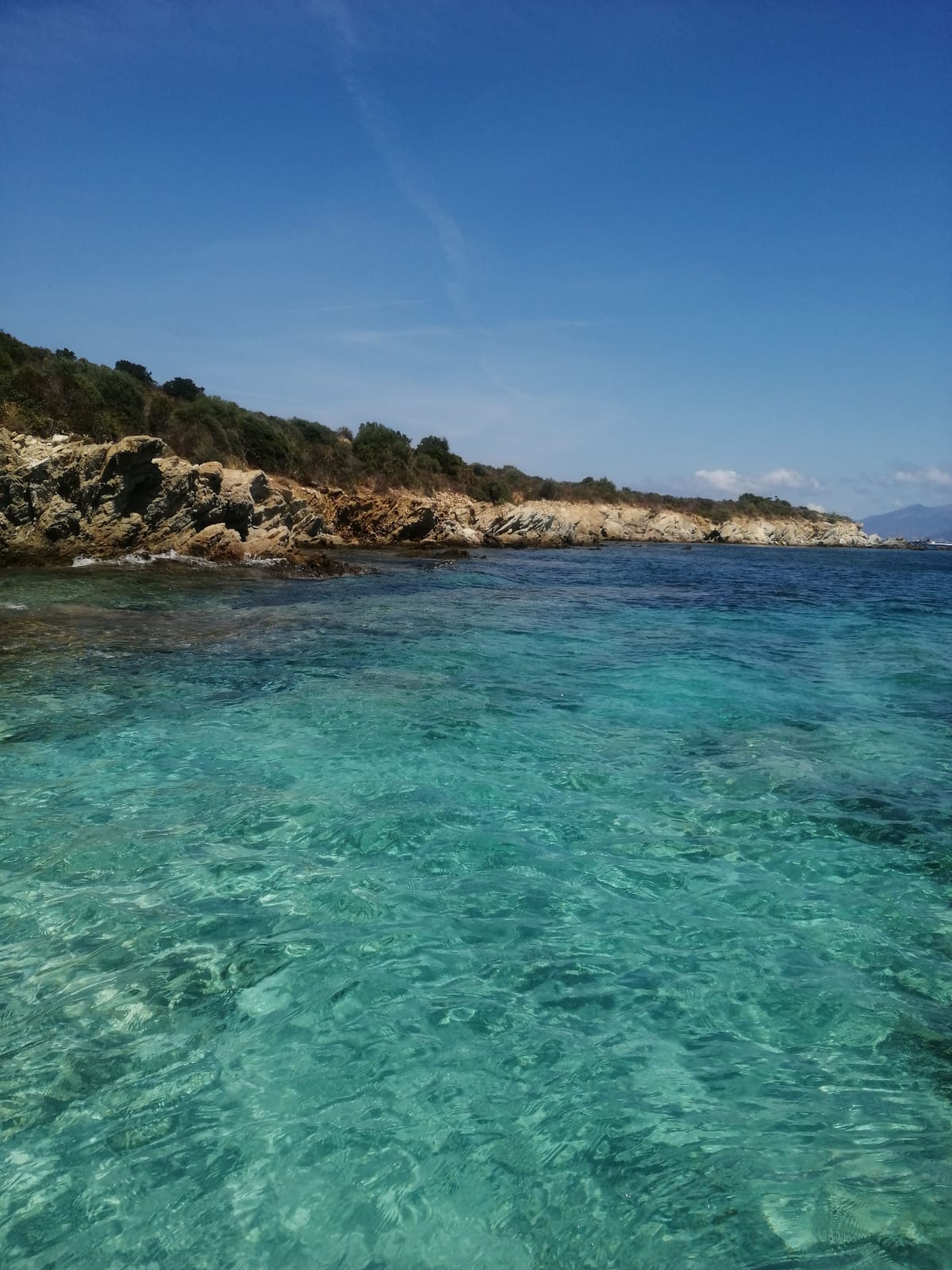 Tour Preview My Provence: Cassis and Marseille: Full-day tour